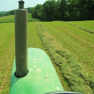 Hay swathe, alfalfa hay, green tractor, farm