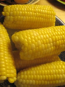 corn-on-the-cob, cooked corn, corn cobs, sweet corn,