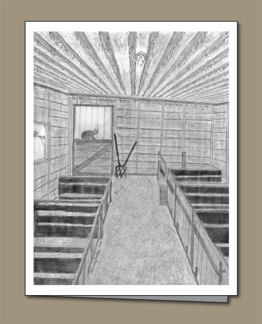pencil drawing of calf shed, cat, inside a calf shed, calf stalls,