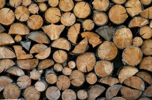 firewood, wood pile, piled firewood, 