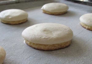 anise cookies, baked anise cookies, frosted-look anise cookies, Christmas cookies, 
