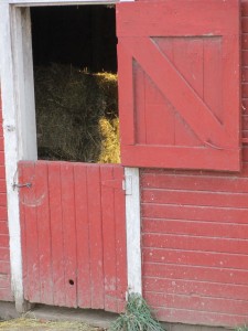split barn door, barn door, straw bales,