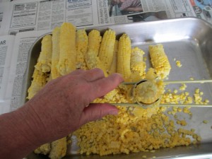 Cutting corn, corn, corn kernels,circular corn knife, freezing sweet corn,