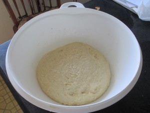 bread dough, tupperware thatsa bowl, rising bread dough,