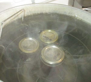 Water bath canner, canning Jelly, Currant Jelly,