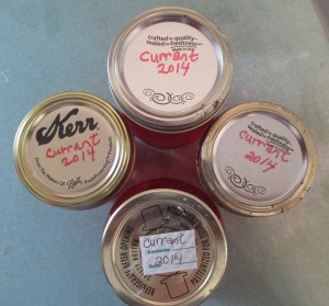 currant jelly, Kerr lids, Labeled canning jars,