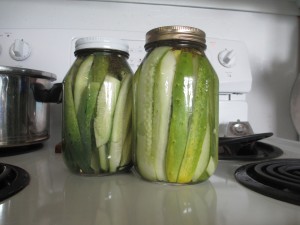 homemade dill pickles, pickles in mason jars,