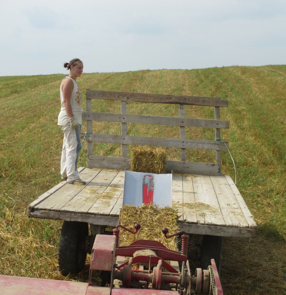 Loading a Hay Wagon