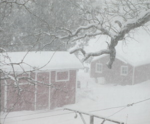 snow day, snow day of the farm, snow storm, snow